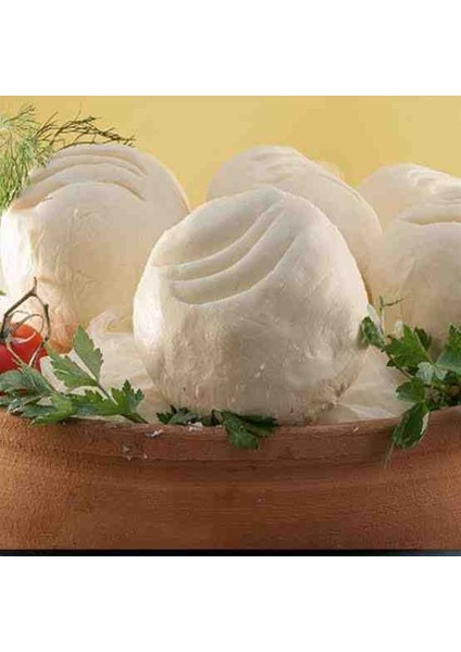 Malatya Yayla Tereyağı 1 kg Vakumlu fırsatları