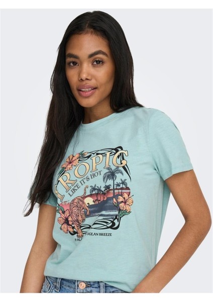 15296244 Onlfelıa Reg S/s Palm Tıger Top Box Jrs