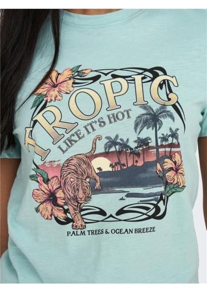 15296244 Onlfelıa Reg S/s Palm Tıger Top Box Jrs fiyatları