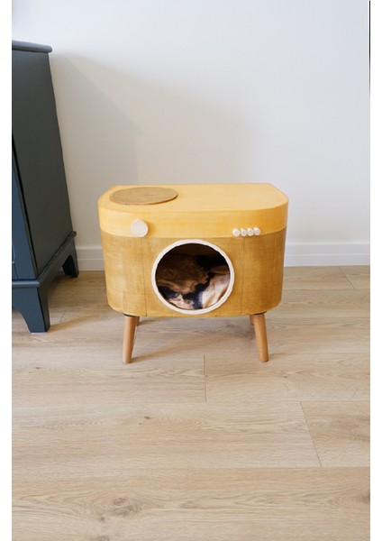 Kedi Evi Dekoratif Fotoğraf Makinesi Kedi Evi