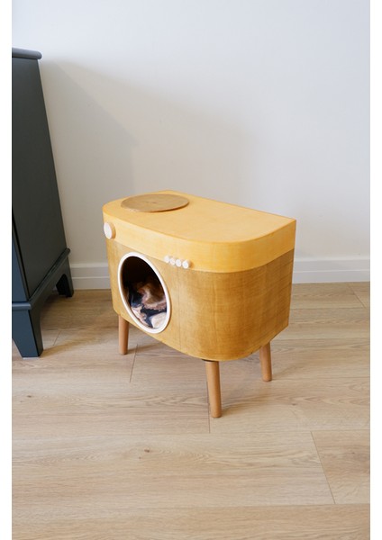 Kedi Evi Dekoratif Fotoğraf Makinesi Kedi Evi fiyatları