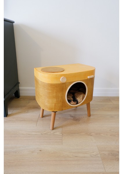 Kedi Evi Dekoratif Fotoğraf Makinesi Kedi Evi modelleri