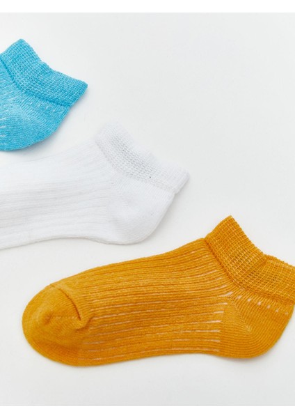 Lcw Eco Basic Erkek Bebek Patik Çorap 3'lü (S5) fiyatları