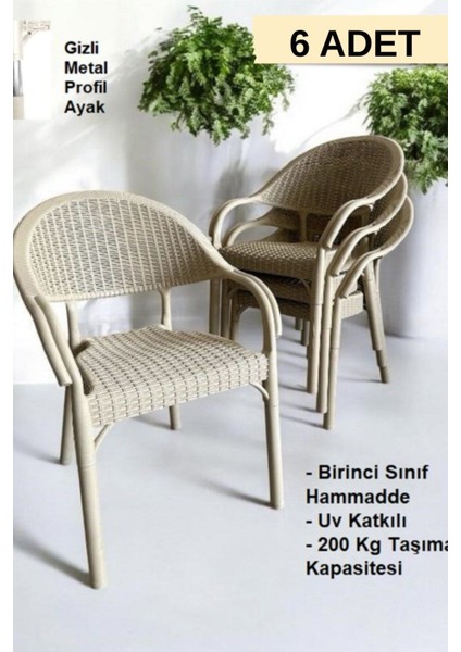 Furnline Mobilya Bambu Rattan Kollu Sandalye Koltuk 6'lı Set