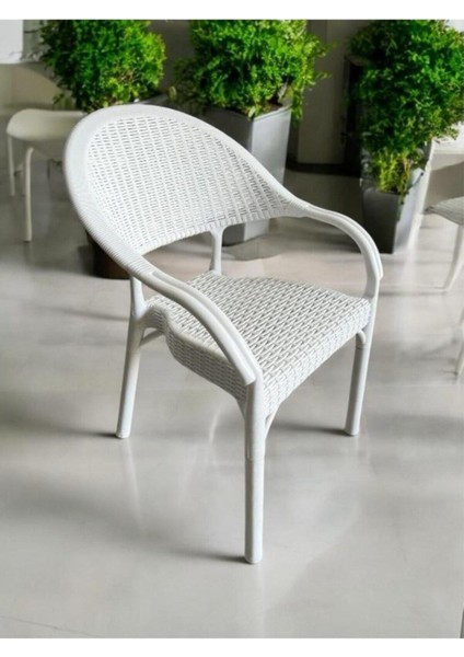 Furnline Mobilya Bambu Rattan Kollu Sandalye Koltuk 6'lı Set indirimleri