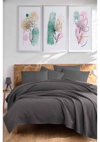 Ecocel Pike Örtü Battal Megaking 260X230CM Sincere Antrasit