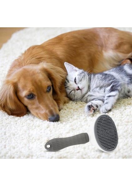 Kedi Köpek Tüy Toplayıcı Pet Tarak 20 cm