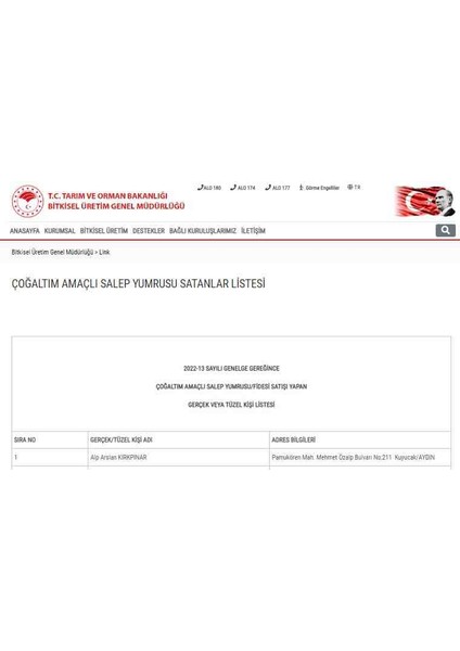 Salep Orkidesi Anaçlık Yumru 100 Adet