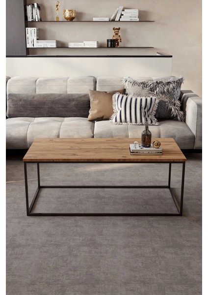 Metal Ayaklı Orta Sehpa Dekoratif Modern Sehpa 110 x 55 cm fiyatları