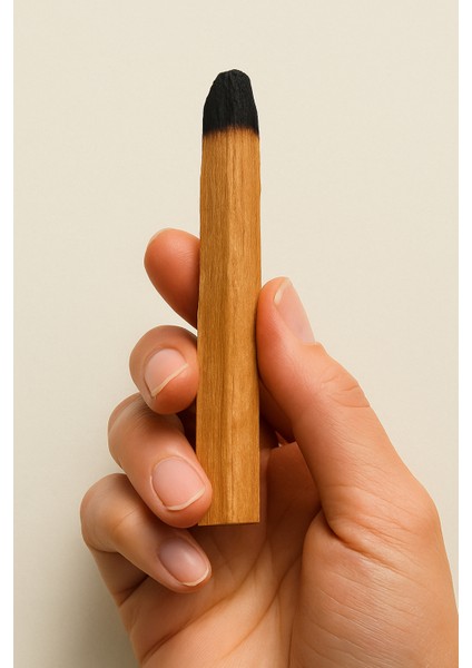 Saf Sandal Ağacı Tütsüsü – Doğal Ağaç Formu | Meditasyon, Aromaterapi ve Ritüeller Için / Pure Sandalwood Incense – Natural Wood Form | For Meditation, Aromatherapy & Rituals fırsatları