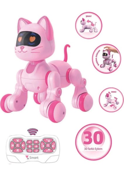 Uzaktan Kumandalı 30 Fonksiyon Akıllı Interaktif Öğretici Robot Kedi Oyuncak