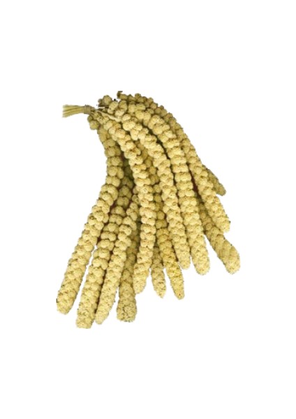 Sarı Dal Darı 500G