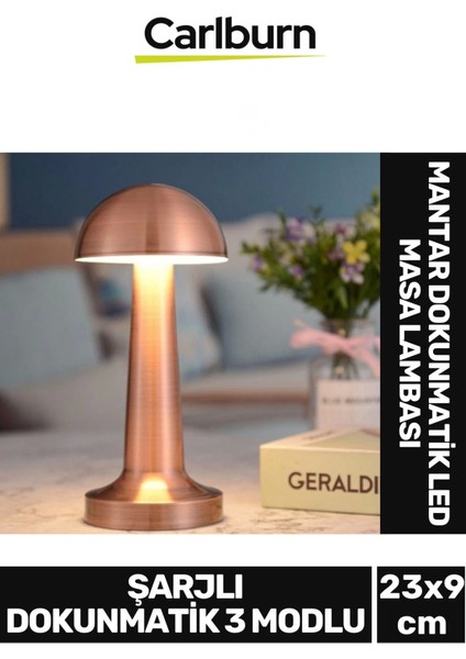 Özel Tasarım 3 Modlu 23 cm x 9 cm Modern Aç/kapa Butonlu Mantar Dokunmatik LED Masa Lambası