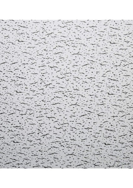 Prosista Asma Tavan Karolam Siyah Kırçıllı 60X60 cm 1pak 10ADET