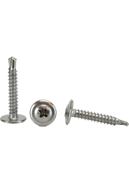 Pul Başlı (Sding) Rysb Akıllı Vida 3,9X13 mm (50 Adet)