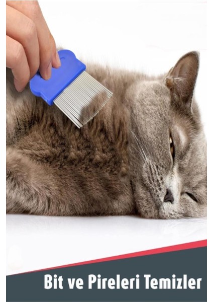 2 Adet Kedi Köpek Tüy Bit Pire Toplayıcı Toplama Temizleme Tarağı Uzun Telli Tarak