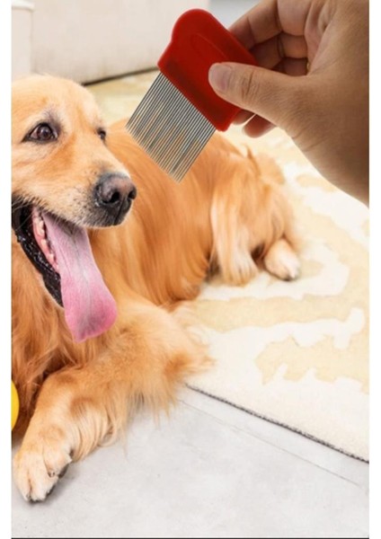 2 Adet Kedi Köpek Tüy Bit Pire Toplayıcı Toplama Temizleme Tarağı Uzun Telli Tarak