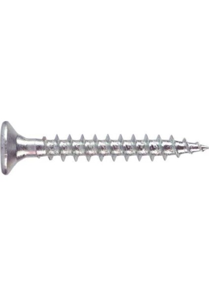 Sunta Vidası 4.0X60 mm (25 Li Pkt)