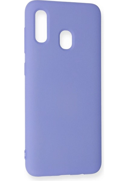 Samsung Galaxy A20 Kılıf Nano Içi Kadife Silikon - Lila Glstd