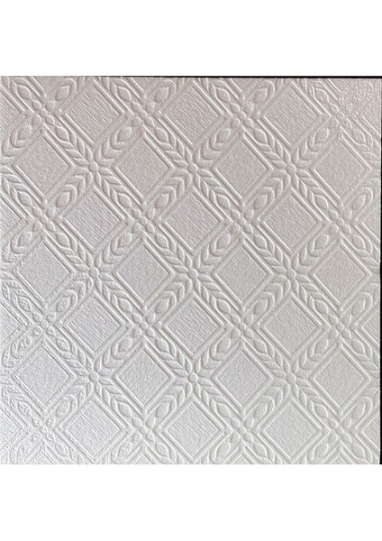 Hasyıldız Strafor Dekoratif Tavan Kaplama D-1 50X50 cm
