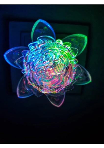 Büro Ev Ofis Için Gül Figürlü Renkli Rgb Dekoratif Aysınlatma Gece Lambası