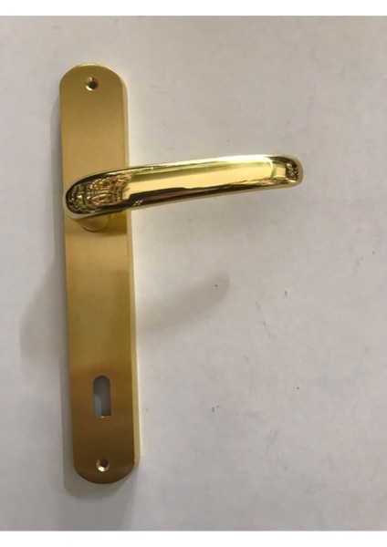 Doğanlar Eko Kanarya Pirinç Oda Kapı Kolu ( Sarı)