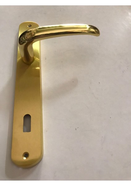 Doğanlar Eko Kanarya Pirinç Oda Kapı Kolu ( Sarı)
