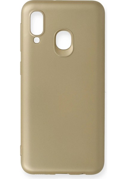 Samsung Galaxy A20E Kılıf First Silikon - Gold Nrmsa