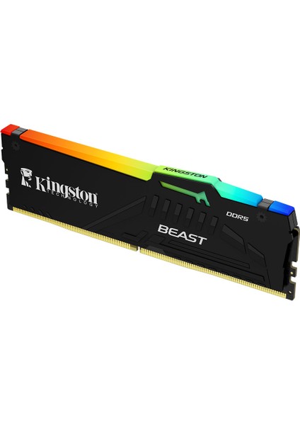 KF564C32BBEA/32TR 32 GB Ddr5 6400MHZ CL32 Beast Rgb Expo Bilgisayar Bellek