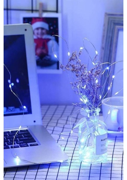 Pilli 5 Metre Dekoratif Peri LED Beyaz Aydınlatma Süsleme Lambası