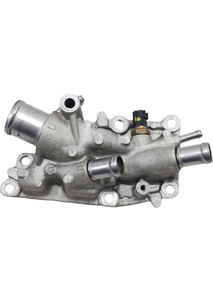 Termostat Komple Renault Megane Iv Borulu 1.6 Benzinli H4M- Gnzrz