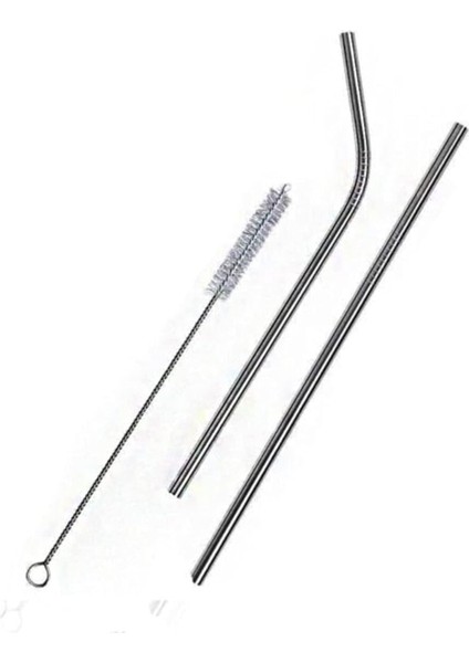 2'li Paslanmaz Çelik Pipet + Temizleme Fırçası, Çok Renkli, Medium