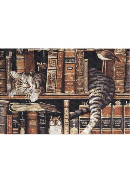 Tasarımlı Dekoratif Kapı Önü Paspas, Dış Mekan/ev Içi/banyo/mutfak/yatak Odası/giriş Paspasları (Uykucu Kedi, 40X60)