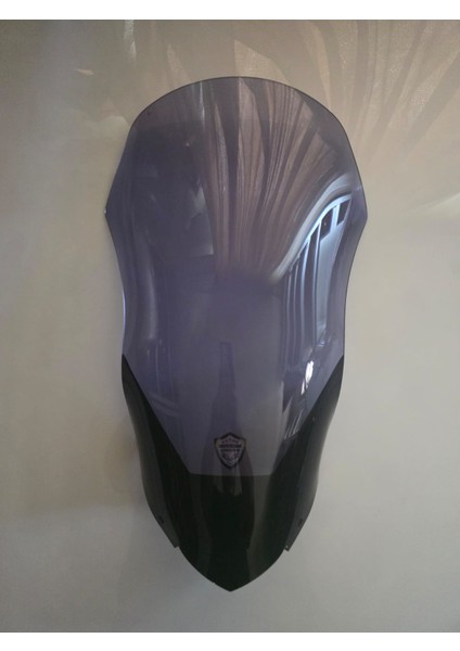 Pulsar Rs 200 Siperlik Ön Cam 2015-2025 Model 33CM Füme Renkli 4mm Kısa Spor Cam