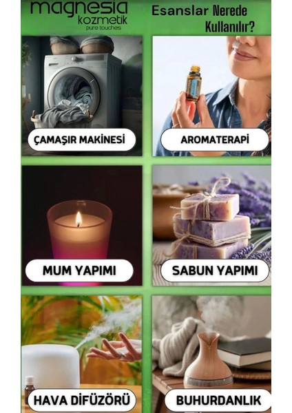 Mimoza Çiçeği Esans Uçucu Yağı 10ml