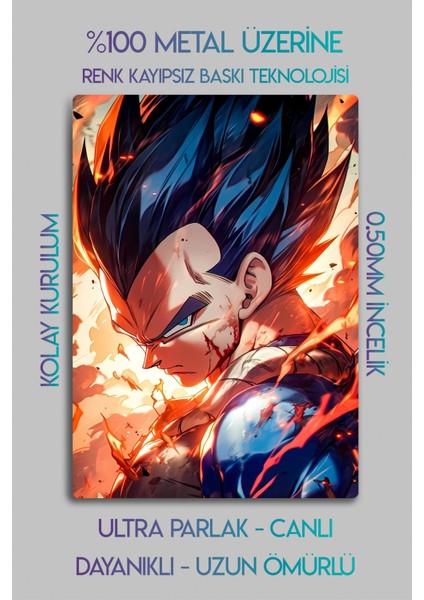 Metal Baskı - Vegeta Dragon Ball, Anime Manga Serisi, Dekoratif Tablo fiyatları
