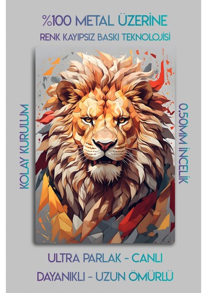 Aslan Metal Tablo, Sarı Kırmızı, Dekoratif fiyatları