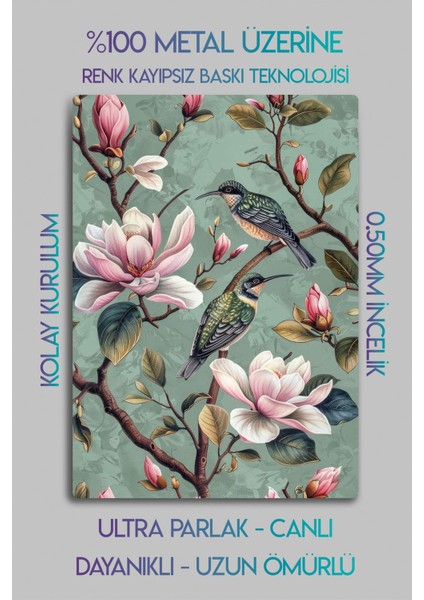 Parlak Canlı Metal Baskı - 3'lü Sanatsal Kuş Figürlü Dekoratif Tablo modelleri