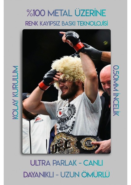 Metal Baskı - Khabib Nurmagomedov, Ufc, Parlak Tablo fiyatları