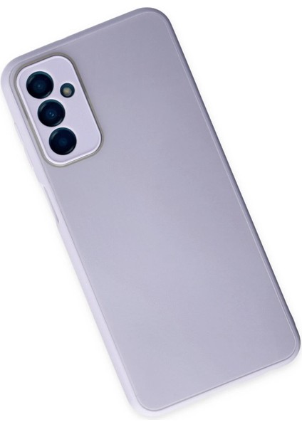 Samsung Galaxy M23 Kılıf Glass Kapak - Lila Nrmsa