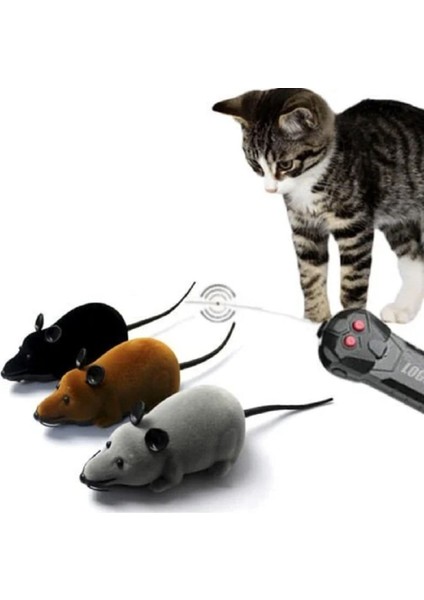 Luxury Uzaktan Kumandalı Fare Kedi Oyuncağı Egzersiz Oyuncak Eğlenceli (Pilleriyle Beraber) 1 Adet