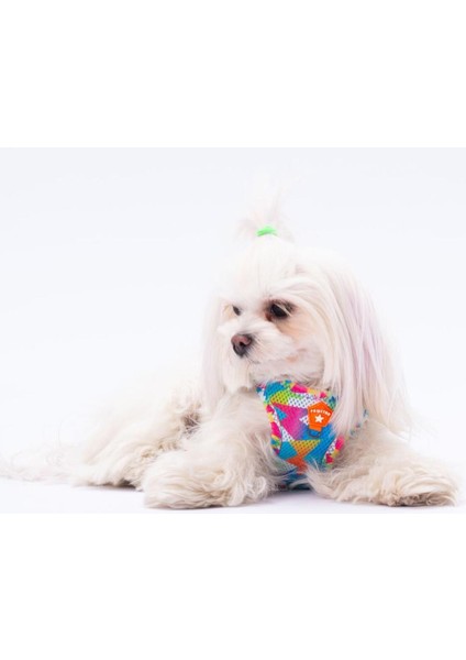 Luxury Mosaic Air-Mesh Göğüs Tasması Kedi Köpek Göğüs Tasması 1 Adet