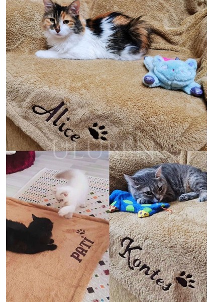 Luxury Isimli Kişiye Isme Özel Nakış Işlemeli Sütlü Kahve Kedi Köpek Battaniyesi Yıkanabilir Premium Peluş 1 Adet