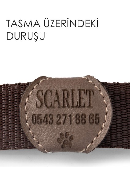 Luxury Deri Köpek Künyesi, Deri Köpek Isimlik, Köpek Kedi Tasması, Köpek Madalyonu 1 Adet