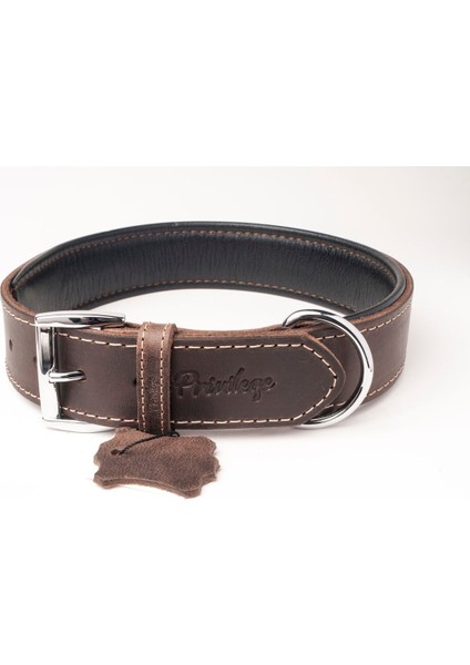 Luxury Hakiki Yağlı Deri Köpek Boyun Tasması Xxs Koyu Kahverengi 2X22-30 cm 1 Adet