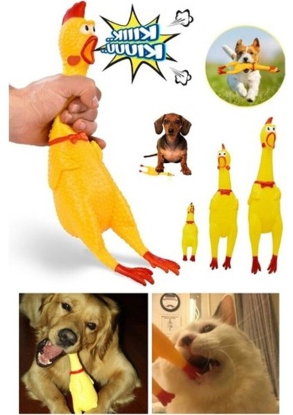 Luxury Ses Çıkaran Tavuk Kedi Köpek Oyuncağı 1 Adet