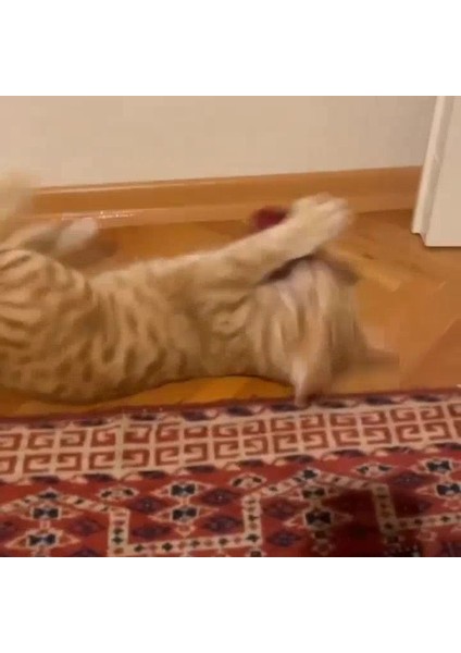 Luxury Caty Çıngıraklı Peluş Kedi Oyuncağı Matatabi Içerikli 1 Adet fiyatları