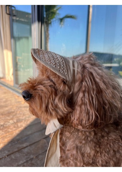 Luxury Köpek Şapkası 1 Adet