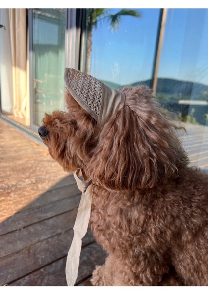 Luxury Köpek Şapkası 1 Adet