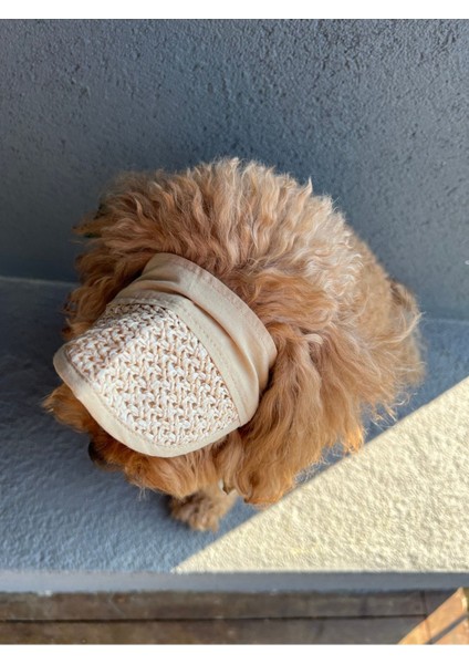 Luxury Köpek Şapkası 1 Adet